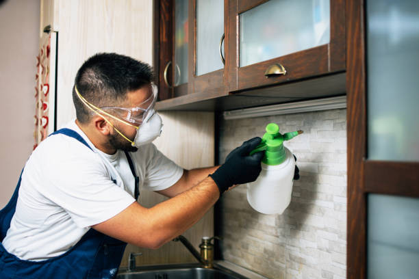 Best Mosquito Control Services  in Beltsville, MD