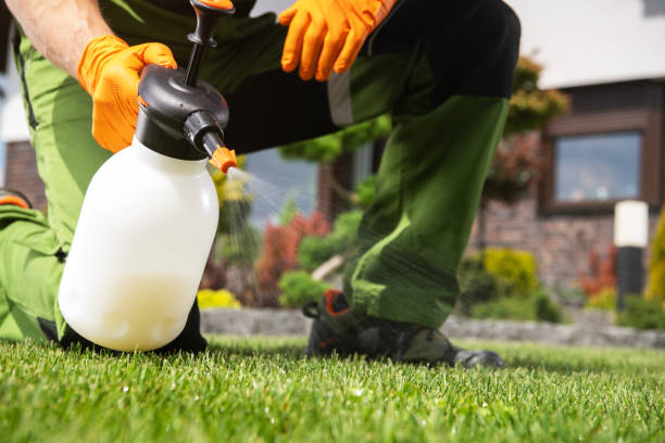 Best Pest Control Near Me in Beltsville, MD