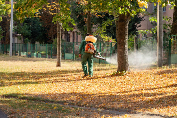 Best Residential Pest Control  in Beltsville, MD