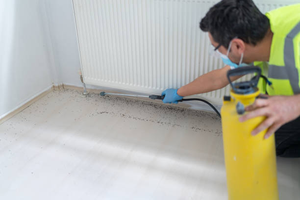 Best Termite Control Services  in Beltsville, MD