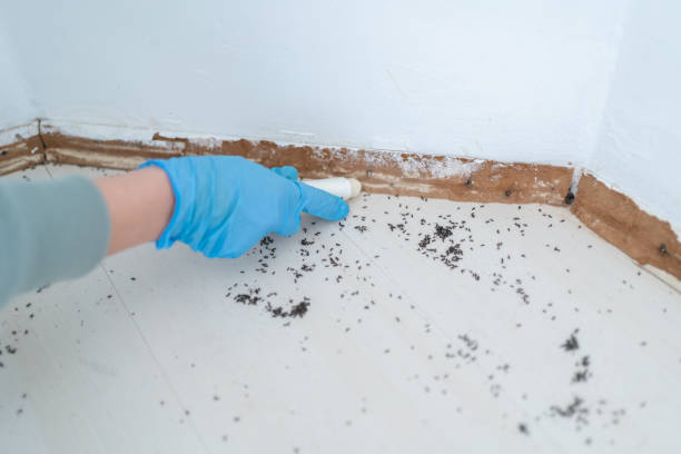 Pest Control for Restaurants in Beltsville, MD