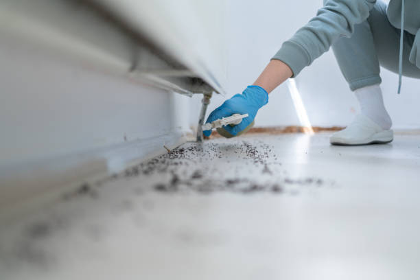 Best Pest Control for Restaurants  in Beltsville, MD